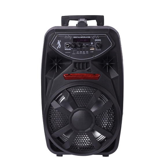 HOST PICK - Bluetooth Portable Player with Microphone - Picture 5 of 7